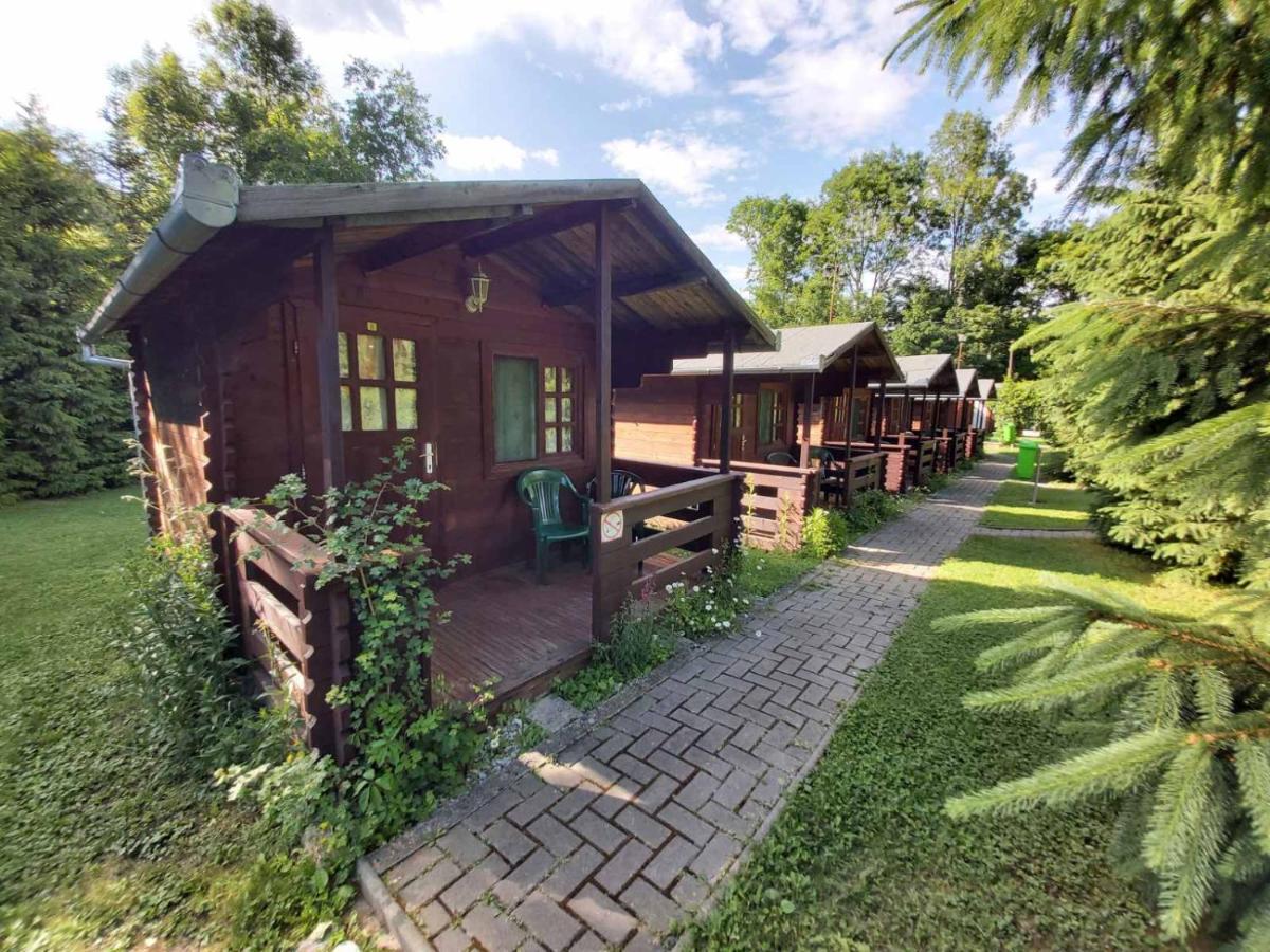 Bungalow Camping Edelweiss - Floare De Colt - Gyopar Rimetea Exterior foto